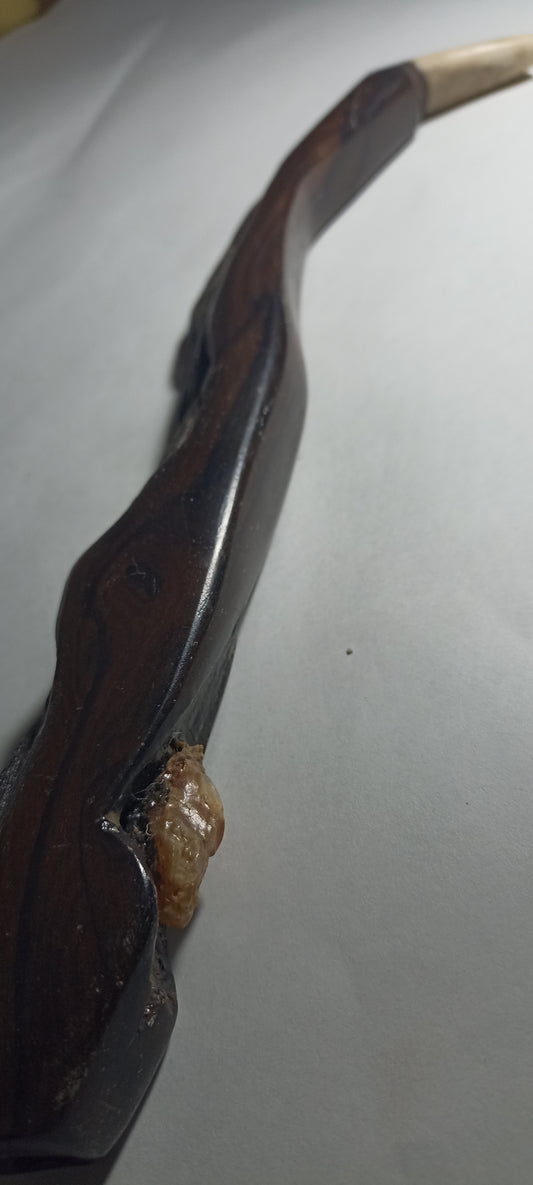 Tepi o Aplicador de Rape Madera con cuarzo