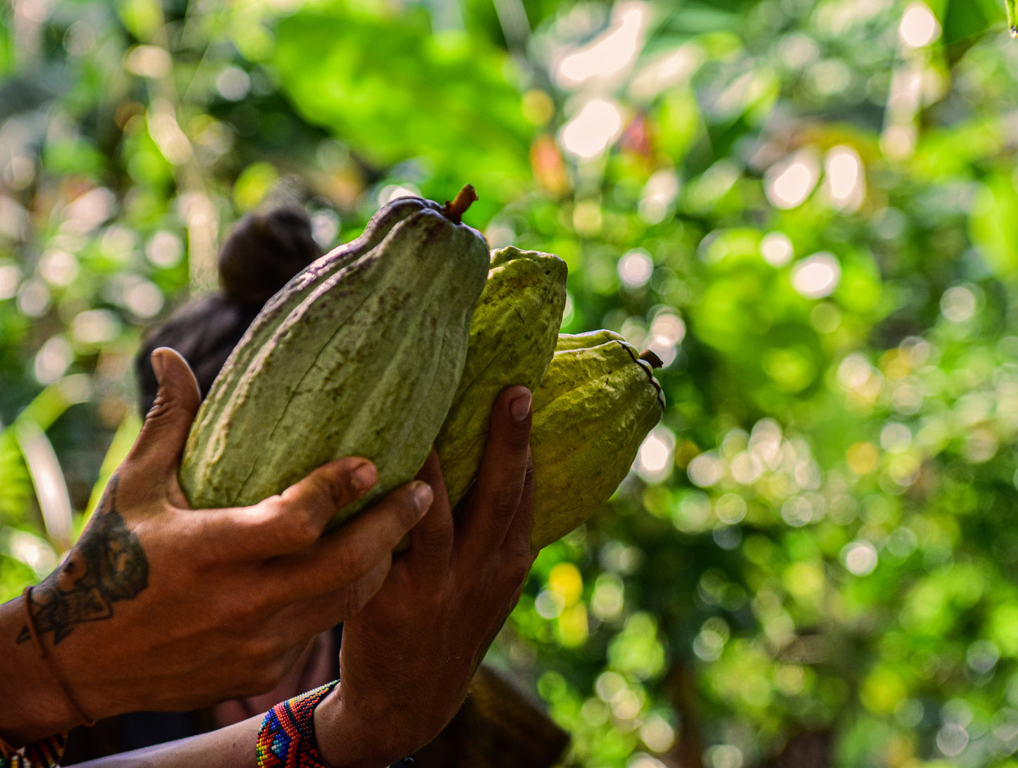Cacao en Polvo